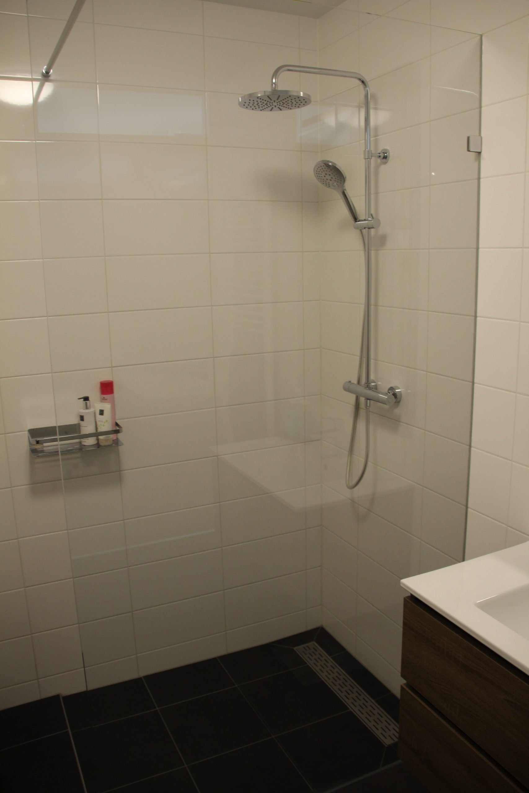 glazen douchewand vissersglas